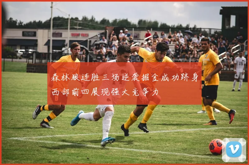 森林狼连胜三场逆袭掘金成功跻身西部前四展现强大竞争力