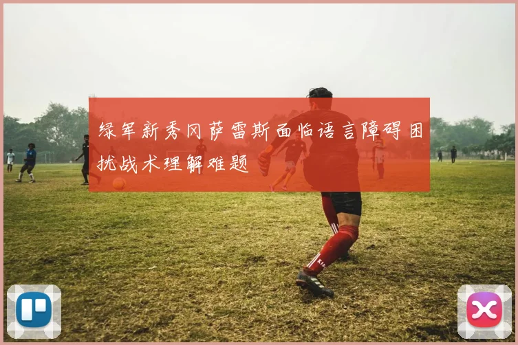 绿军新秀冈萨雷斯面临语言障碍困扰战术理解难题